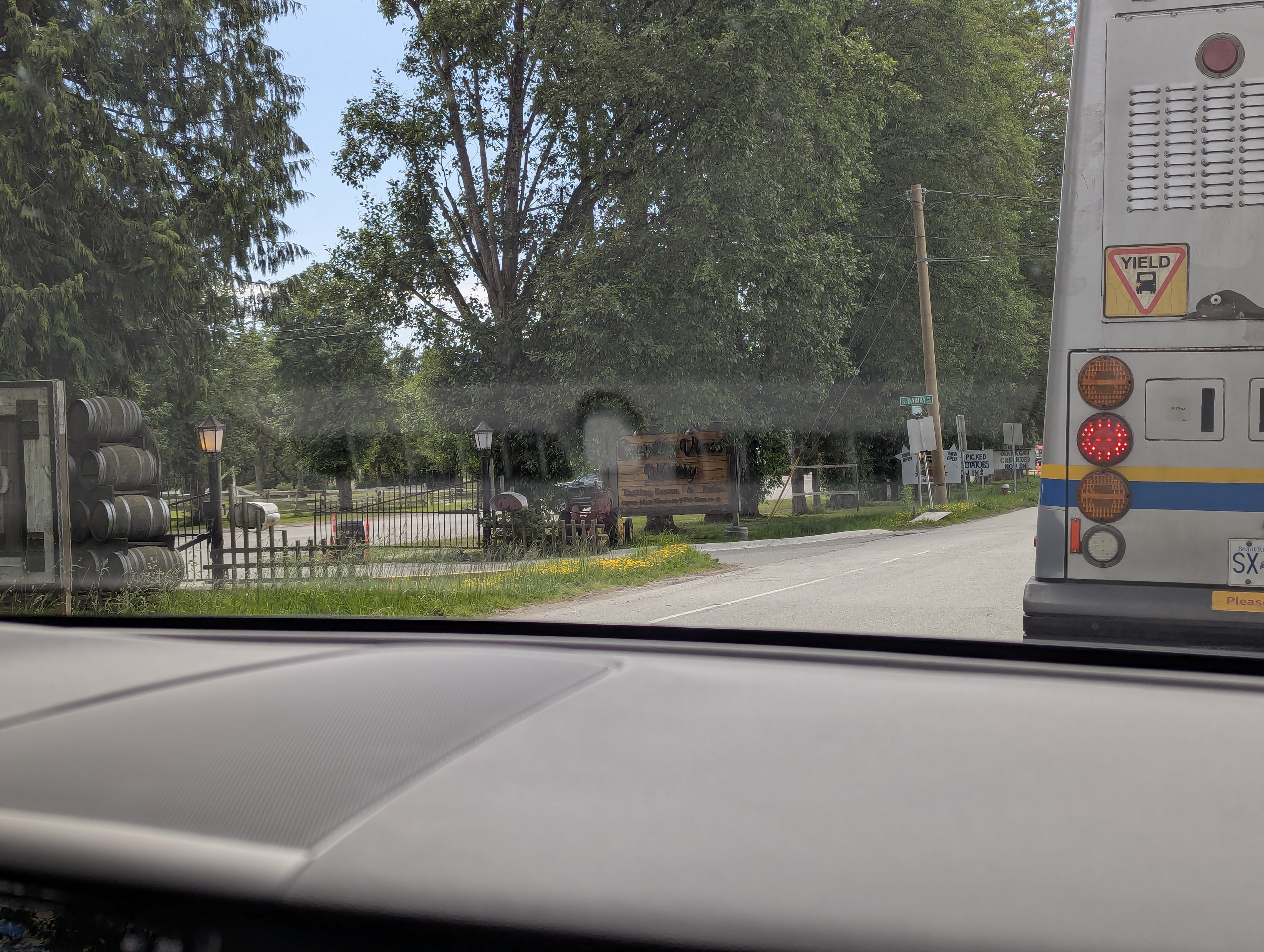 Birthday Trip to Canada, Country Vines Winery, Richmond, British Columbia